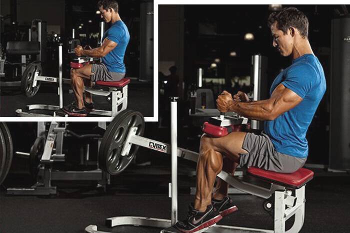 Подъем на носки сидя — sportfito — сайт о спорте и здоровом образе жизни