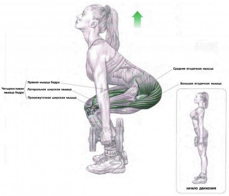 Как делать приседания плие и что дает это упражнение?