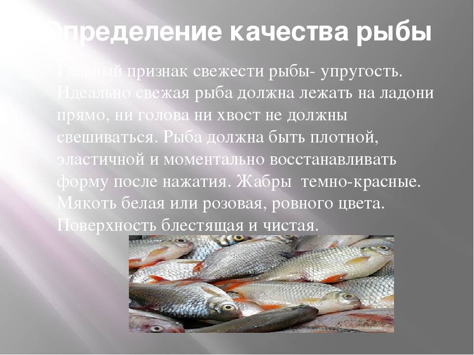 Какая должна быть рыба. Качество рыбы. Качества свежей рыбы. Показатели качества рыбных товаров. Как определить свежесть рыбы.