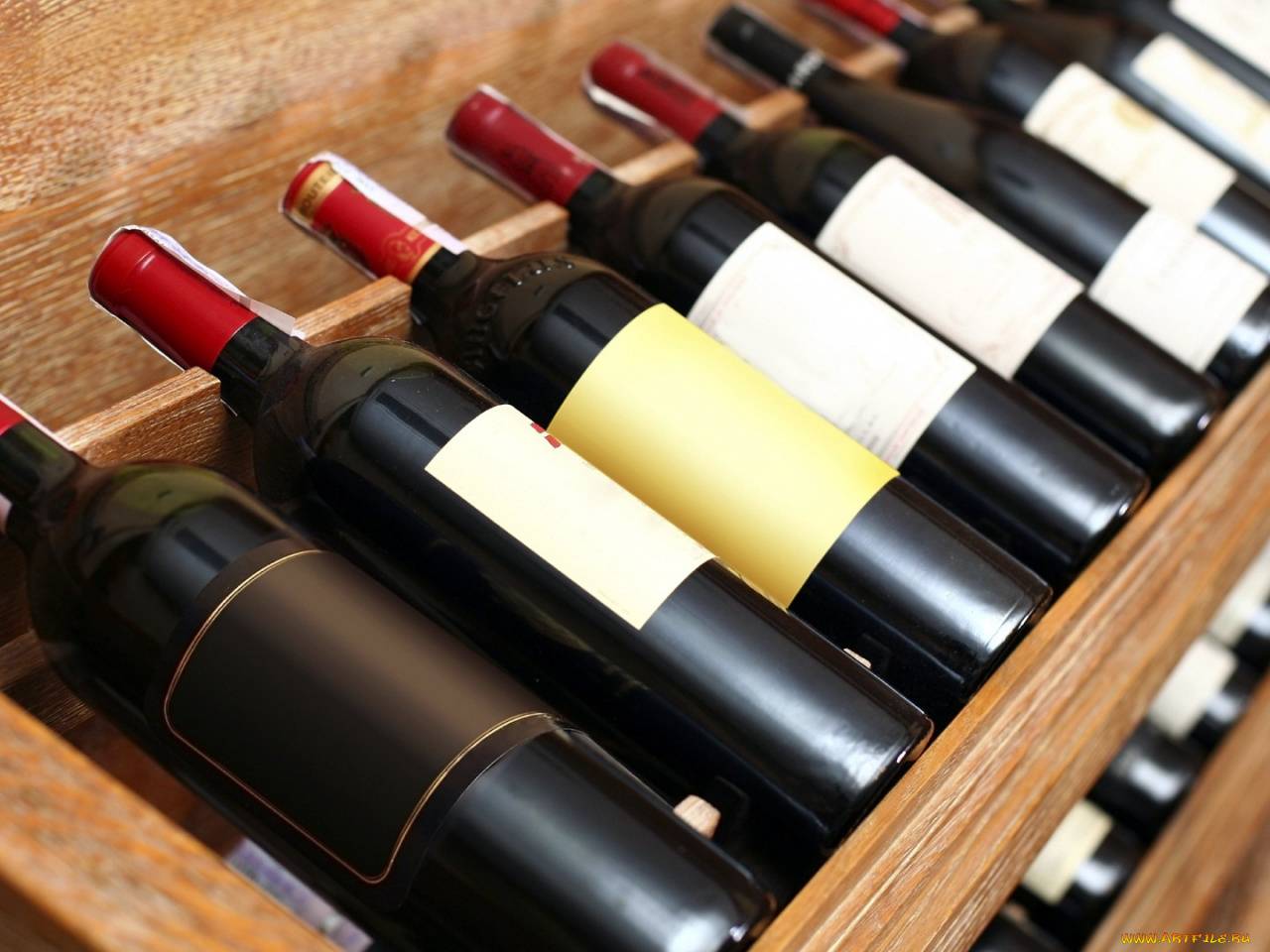 Как и сколько хранить вино - база данных сроков хранения