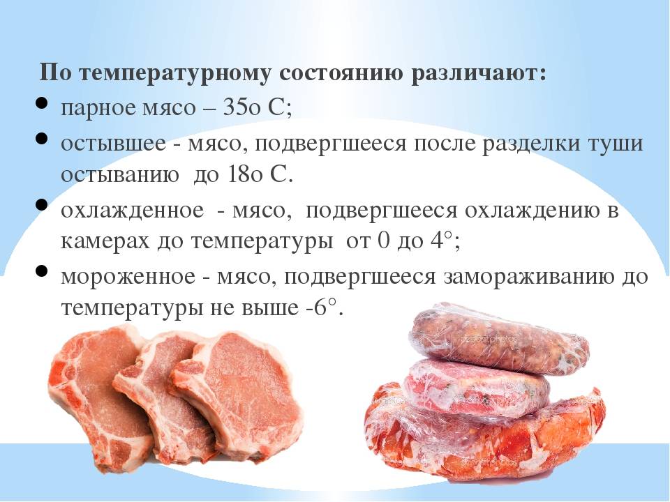 Можно ли есть мясо мелких животных сырое. Качество мяса говядины. Мясо различают по термическому состоянию. Охлажденное мясо свинины и полуфабрикатов.