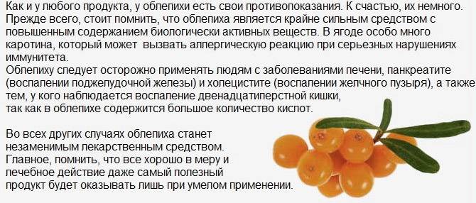 Облепиха – полезные свойства, состав и противопоказания (+ 19 фото)