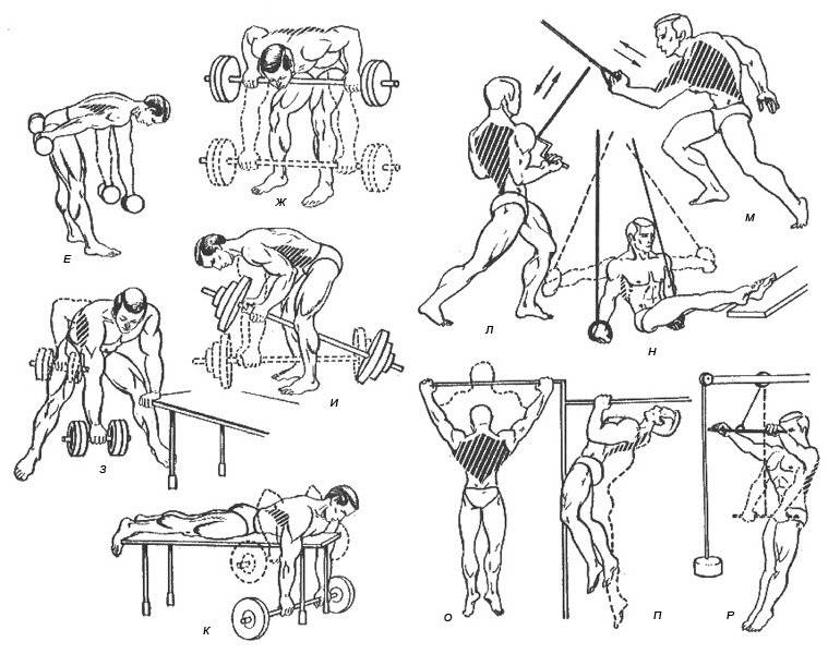 Как накачать спину в домашних мужчине. Упражнения для тренировки широчайших мышц спины. Упражнения на развитие широчайшей мышцы спины. Прокачка широчайших мышц спины гантелями. Упражнения для развития мышц спины с отягощением.