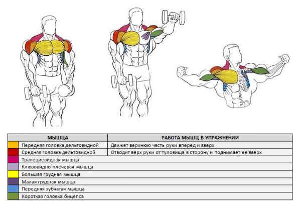 Выпады с гантелями