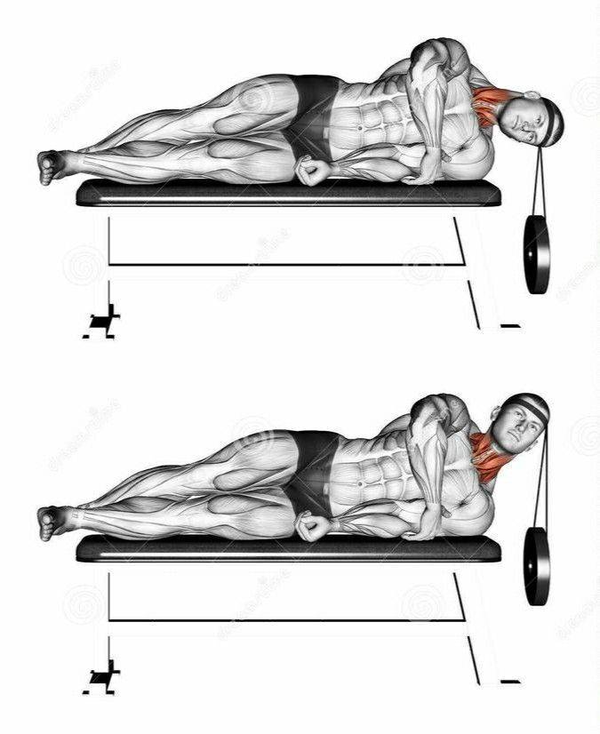 Как накачать шею- программа тренировок в тренажерном зале и дома
