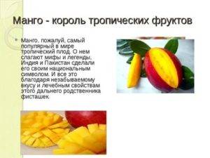 Польза и вред мандаринов — 11 научных фактов о влиянии на здоровье организма