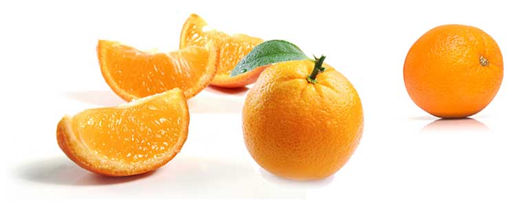 Семейство цитрусовых фруктов. Цедра грейпфрута. Апельсины в медицине. Апельсин польза.