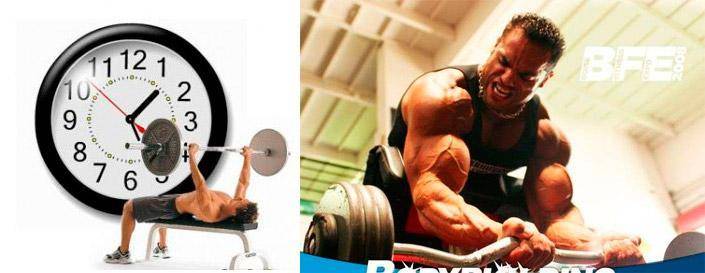 Биологические часы организма человека по часам работы.