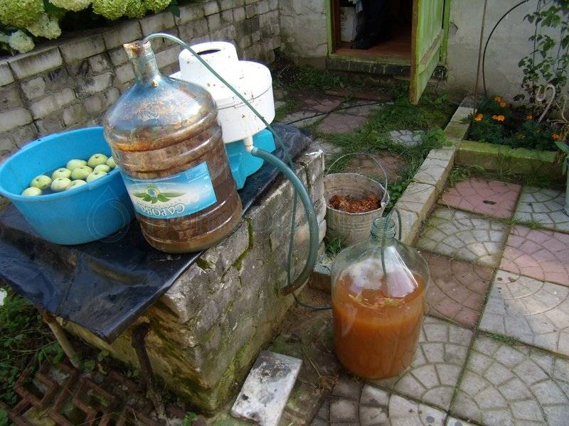 Брага для самогона из яблок