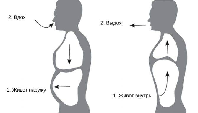 Как дышать животом: как правильно, техника, польза и вред, отличия диафрагмального дыхания от грудного