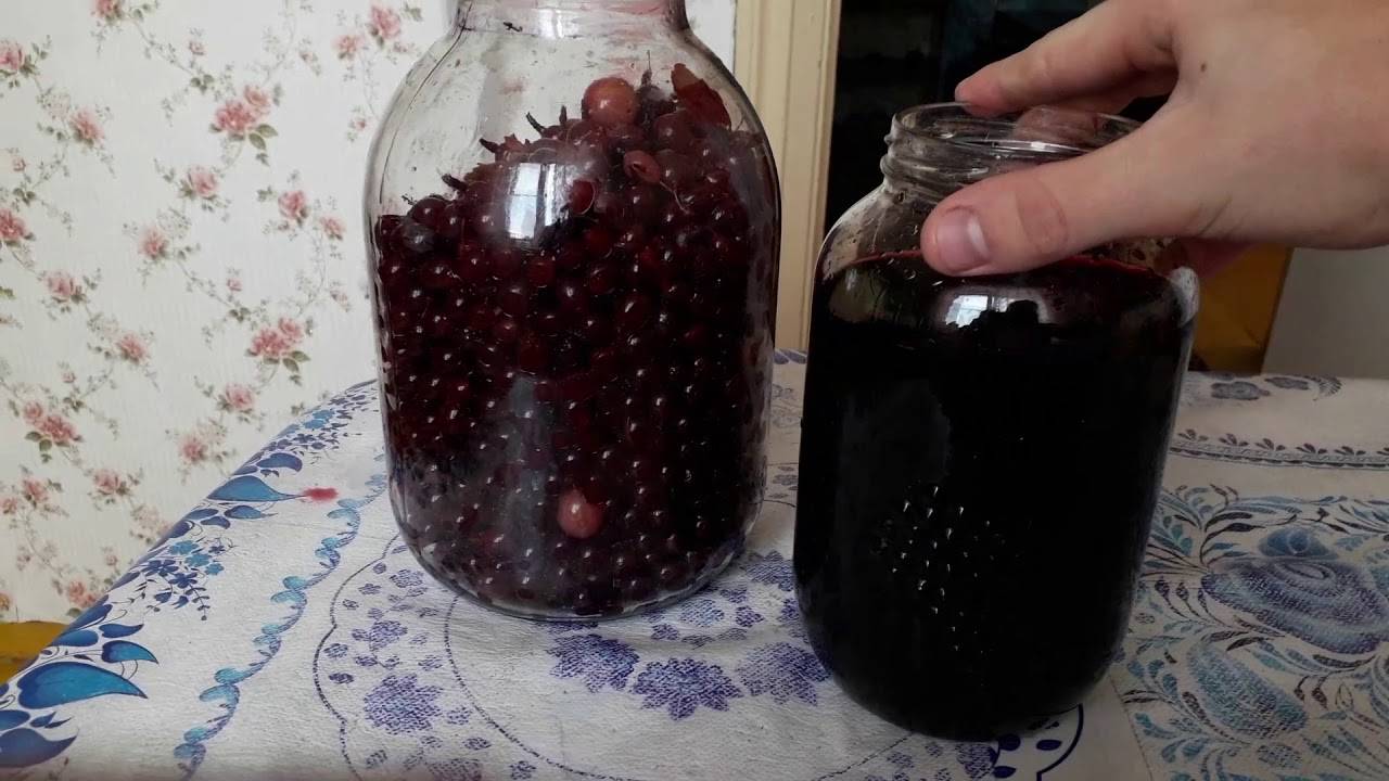 Наливка из крыжовника: 6 рецептов в домашних условиях