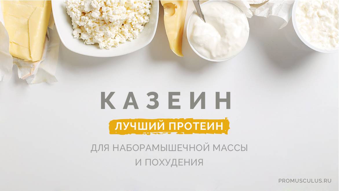 Казеин для похудения: какой протеин лучше