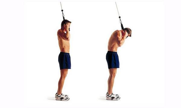 Сгибание рук на бицепс в нижнем блоке кроссовера: техника с прямой, ez и канатной рукоятью