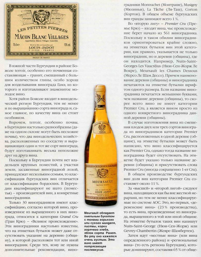Вина бургундии — классификация и качество бургундских вин