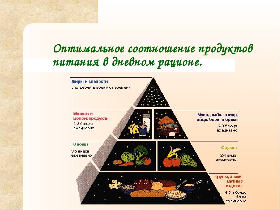 Особенности питания населения в зависимости от категории тяжести труда