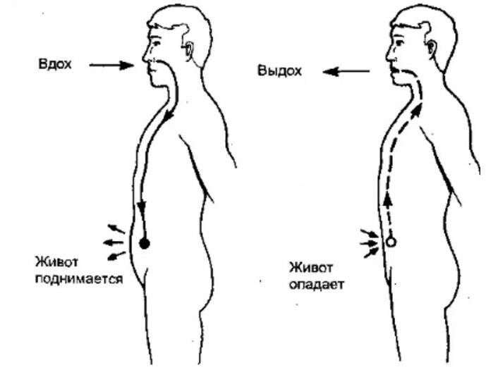 Как правильно дышать животом и грудной клеткой (видео)