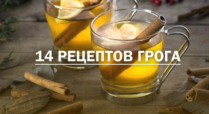 Водка на плодах, травах и специях: 18 рецептов в домашних условиях