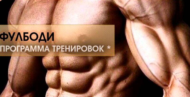 Программа тренировок фулбоди (full body): для новичков и профессионалов