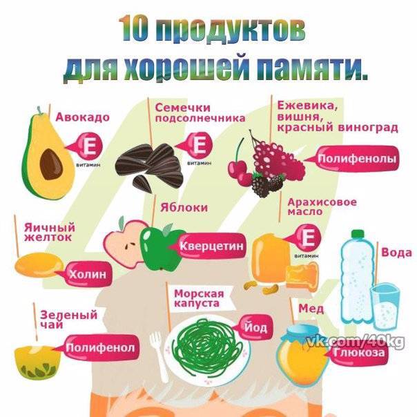 Витамины для памяти и мозга: детям и взрослым | food and health