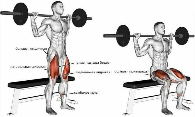 Приседания: все виды, польза, техника выполнения и программа на месяц