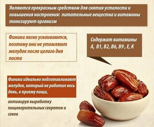 Финики: польза и вред для организма человека.