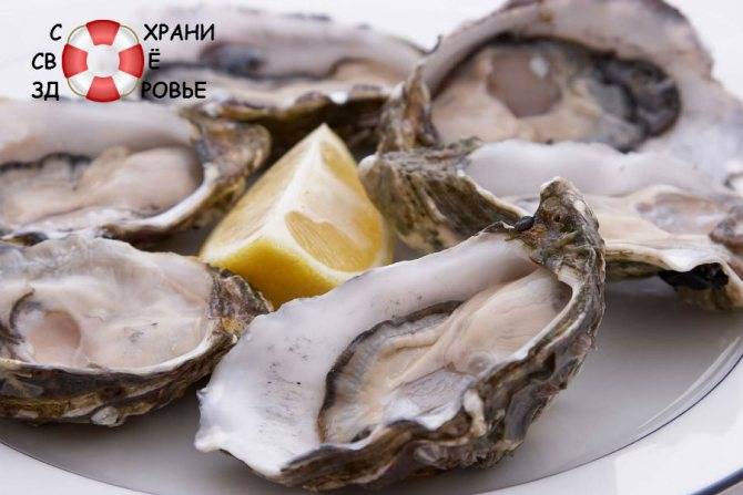 Польза тунца — 7 доказанных свойств для организма человека, а также вред и противопоказания