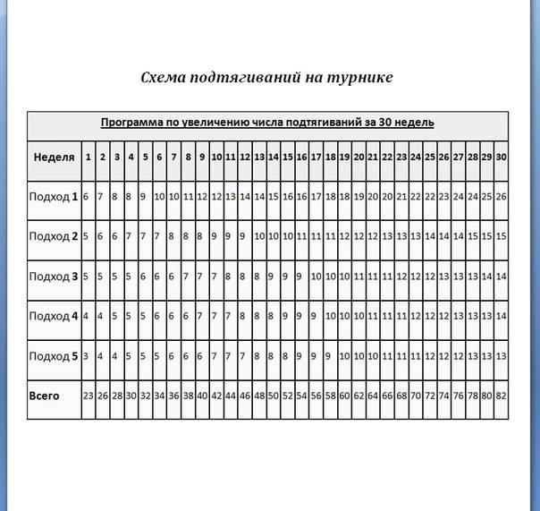 Как научиться подтягиваться на турнике с нуля: подводящие упражнения и программа тренировок для начинющих