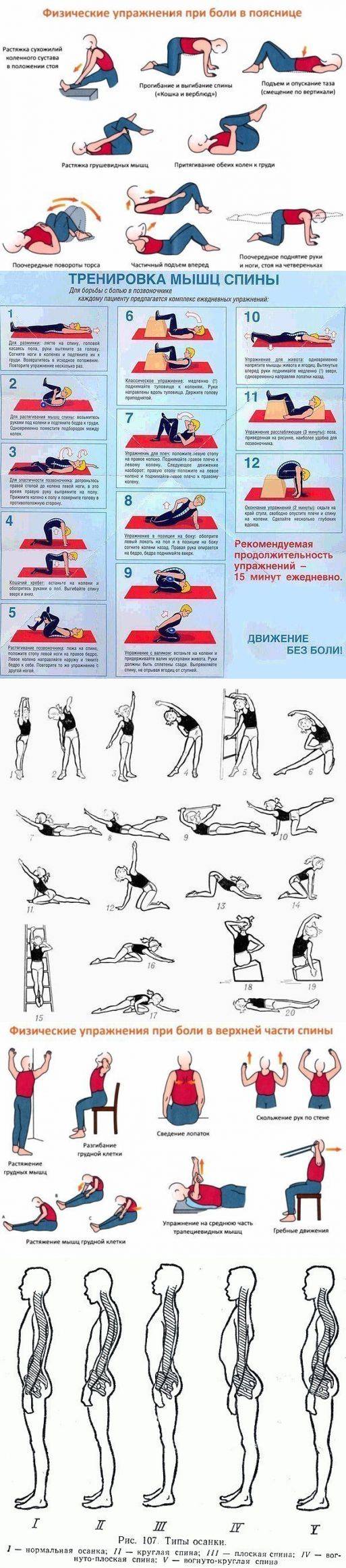 Эффективные упражнения при болях в спине и пояснице самые картинках
