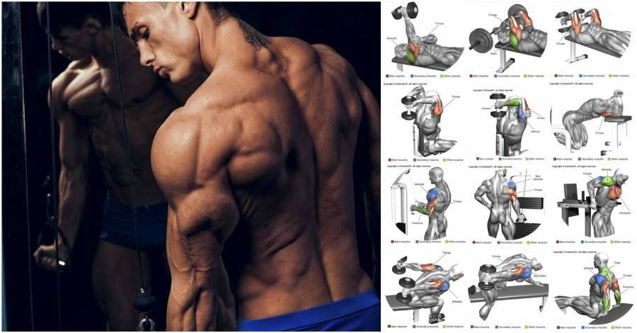 Тренировка суперсетами