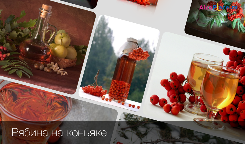 Настойка из рябины – 10 лучших рецептов для здоровья