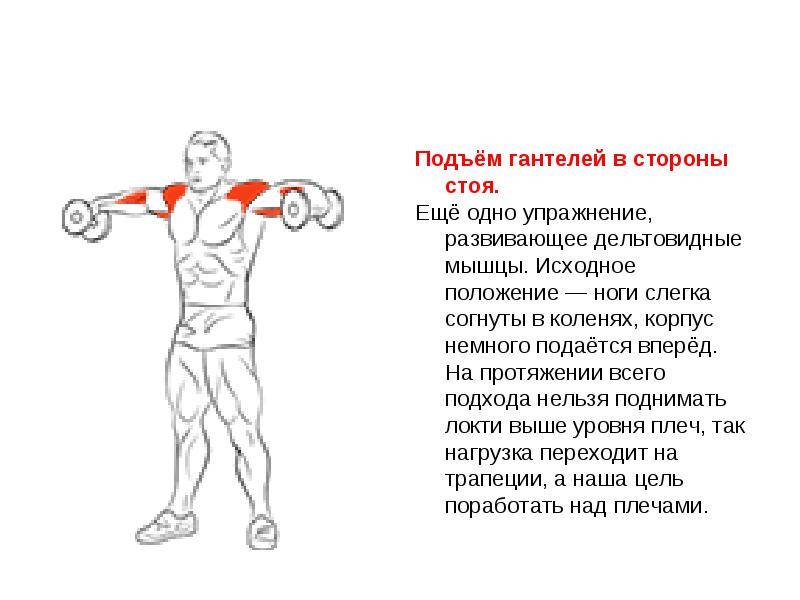 Подъем рук через стороны. Разведение гантели стоя в сторону. Отведение гантелей в стороны мышцы. Разведение гантелей стоя мышцы. Подъем гантелей в стороны.