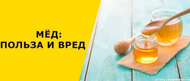 Медовуха - польза и вред алкогольного напитка для организма