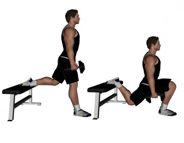 Все секреты болгарских выпадов – все боевые искусства и единоборства