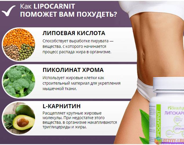Как принимать l-carnitine (l-карнитин) для похудения в жидком виде и в капсулах?