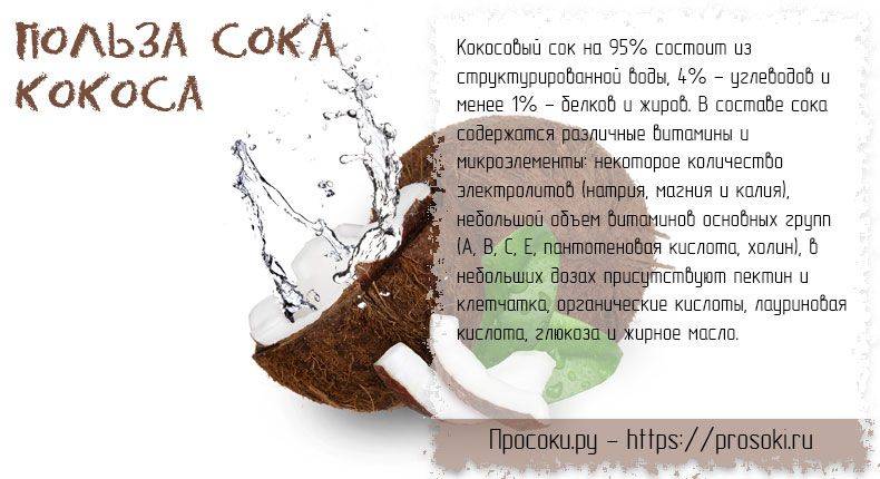 Кокос: польза и вред
