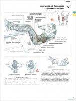 Программа тренировок на пресс в домашних условиях для девушек и мужчин
