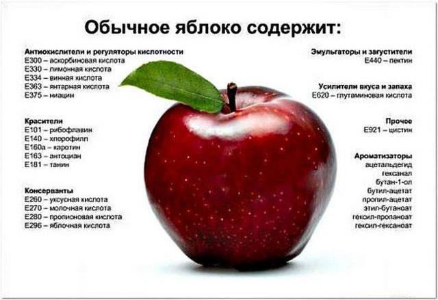 Полезные свойства яблок: противопоказания, польза и рецепты