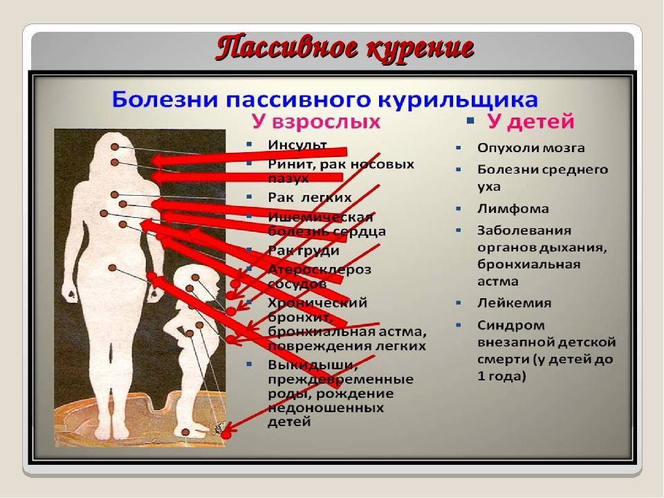 Чем полезно мясо для здоровья — 7 научных фактов