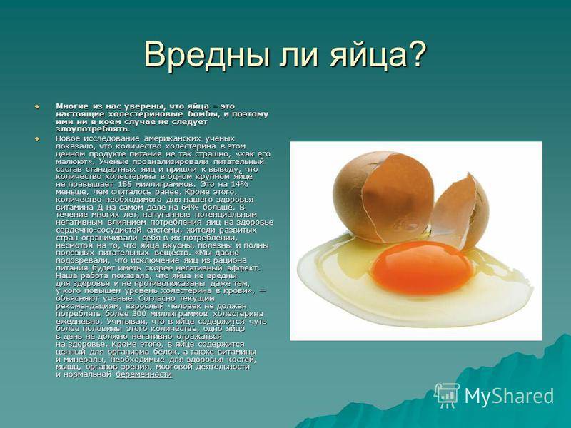 Можно ли пить сырые яйца? влияние на мужской и женский организм, правила употребления | helperlife.ru | яндекс дзен