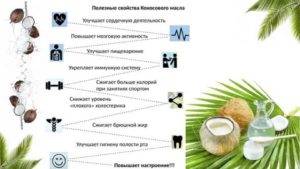 Кокос: калорийность, польза и вред, полезные свойства