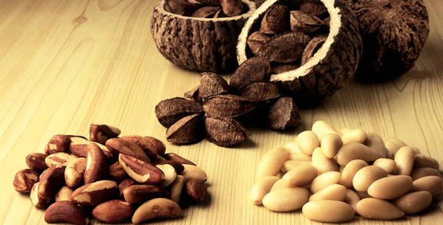 Польза, лечебные свойства и противопоказания к употреблению бразильского ореха