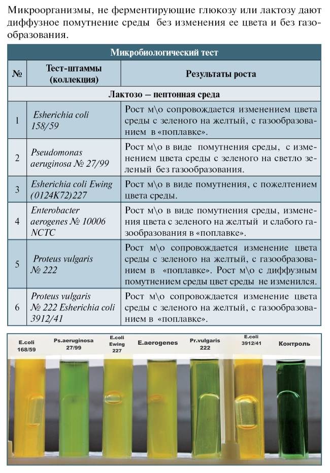 Безлактозная диета: список разрешенных и запрещенных продуктов