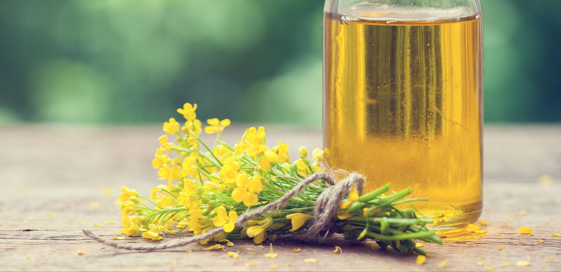 Рапсовое масло — вред и польза, в кулинарии, как применять | здоровье и красота