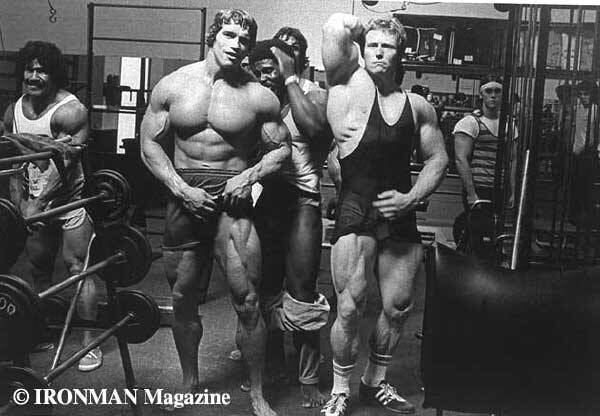 Лучшая программа тренировок от арнольда шварценеггера: ее особенности и упражнения для 1 и 2 уровня