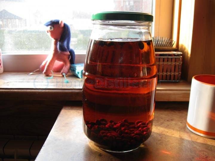 Настойка на кедровых орешках, рецепты кедровки на водке, спирте и самогоне