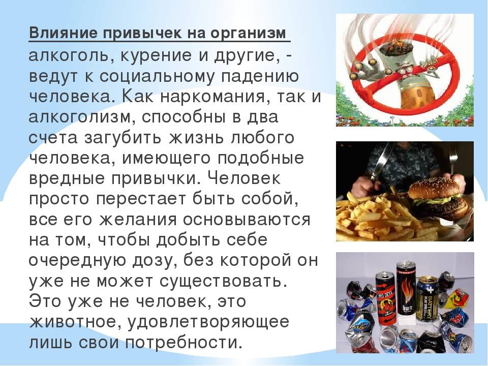 Польза и вред мяса для здоровья человека