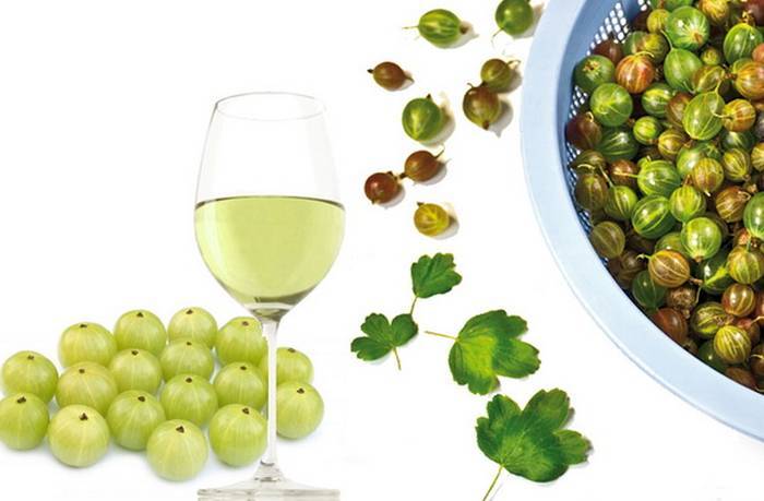 Рецепты домашней наливки из крыжовника на водке и без водки