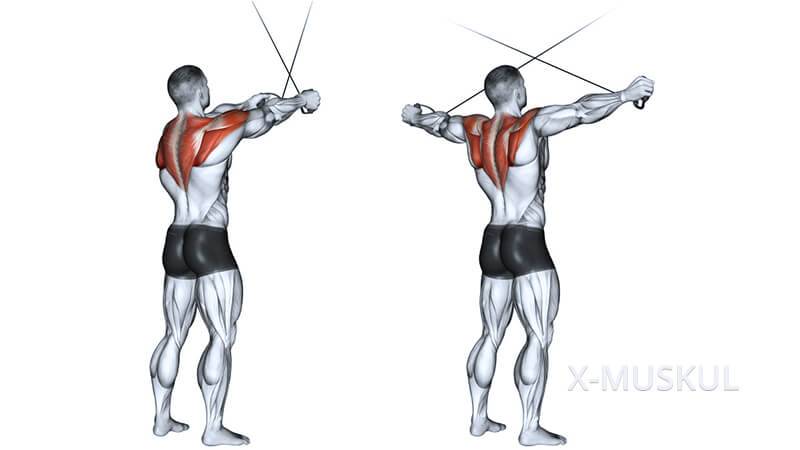 Подтягивания или тяга верхнего блока: что выбрать?