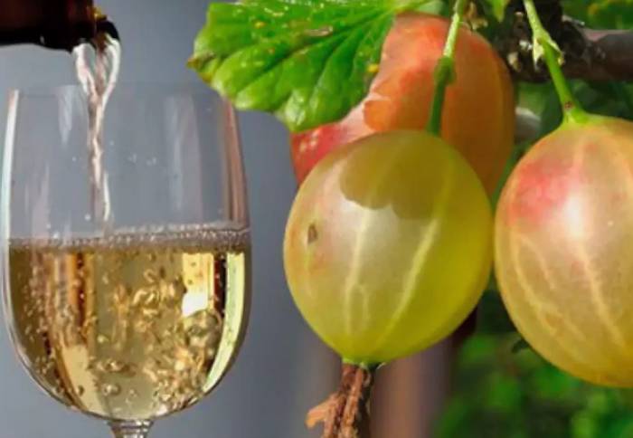 Домашнее вино из крыжовника и черной смородины - пошаговый рецепт