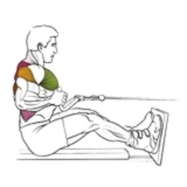 Тяга горизонтального блока. отличный пампинг мышц спины!